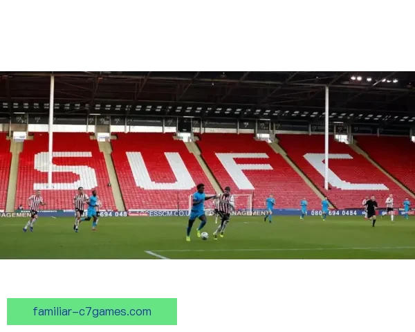 赫尔城俱乐部百年沉浮与英伦赛场荣耀复兴之路探秘历史传承与未来蓝图