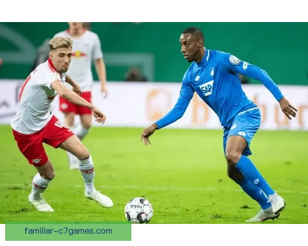 云达不来梅足球俱乐部历史荣光与未来展望分析 云达不来梅足球俱乐部历史荣光与未来展望分析